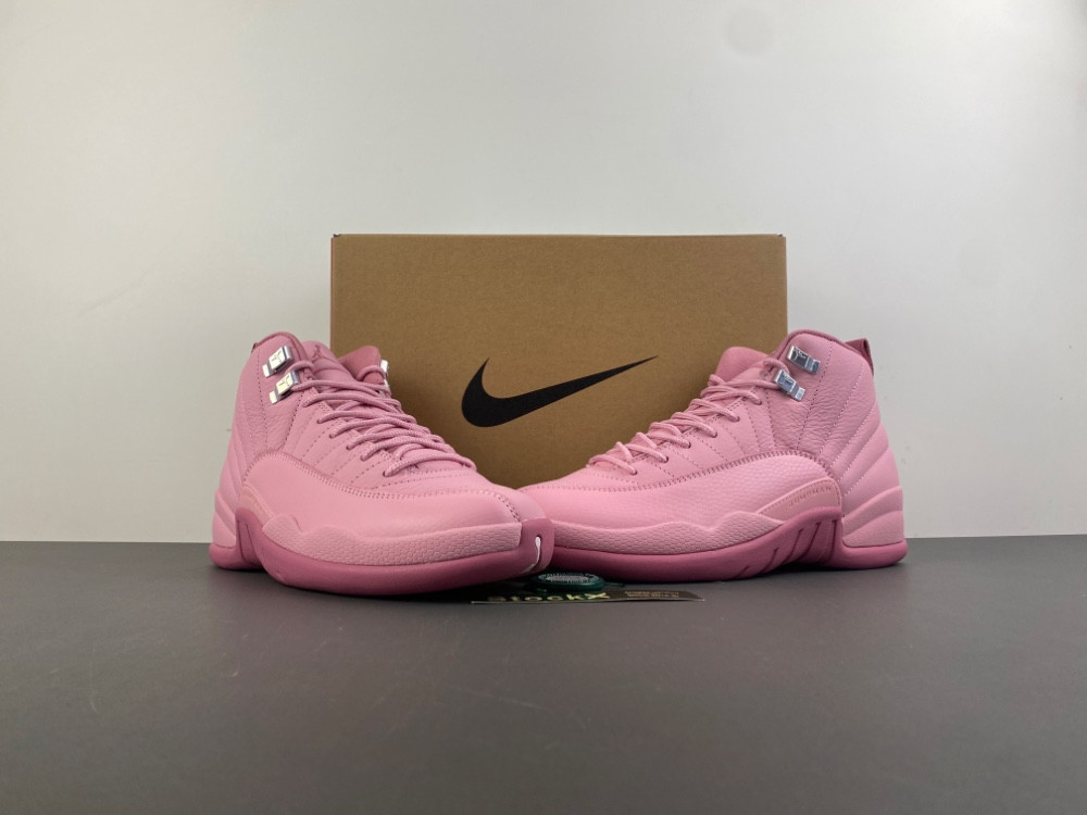 Air Jordan 12