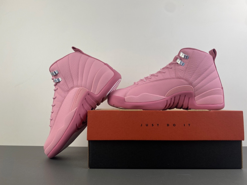 Air Jordan 12