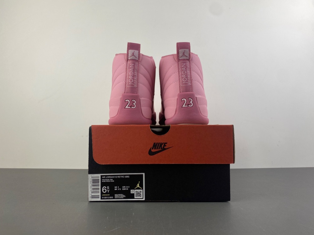 Air Jordan 12