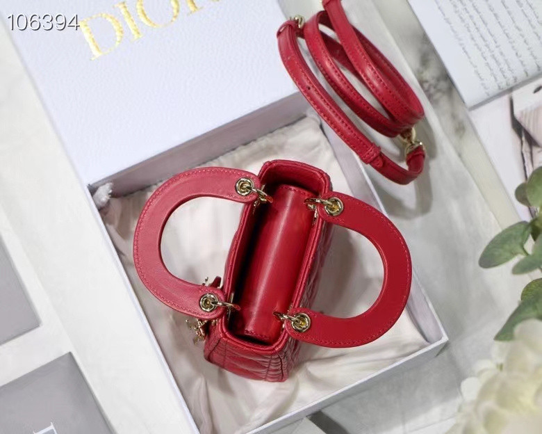 DIor BAG