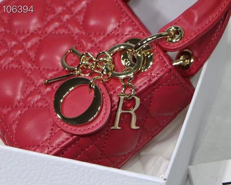 DIor BAG
