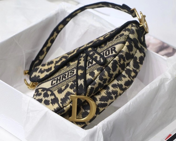 DIor BAG
