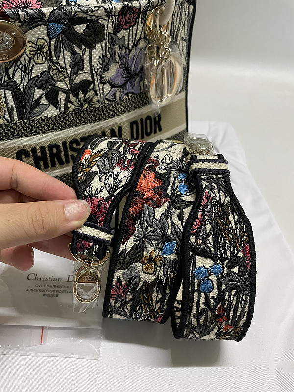 DIor BAG